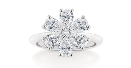   Harry Winston