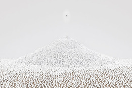  COS  Snarkitecture    -